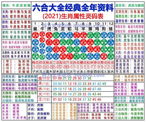 明年生肖2024|2024年生肖表完整版图 2024年生肖表完整版图片